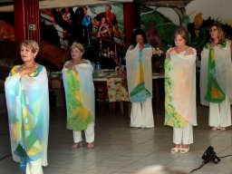 Desfile Enaide Freire